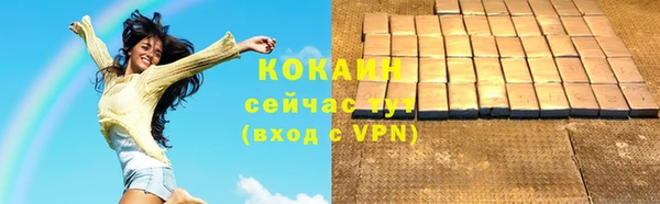 дмт Аркадак