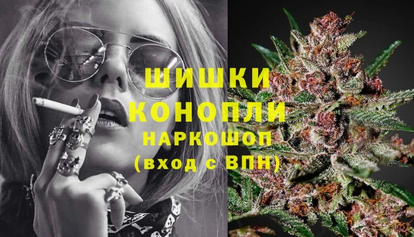 дмт Аркадак