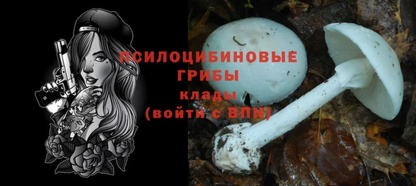 таблы Арсеньев