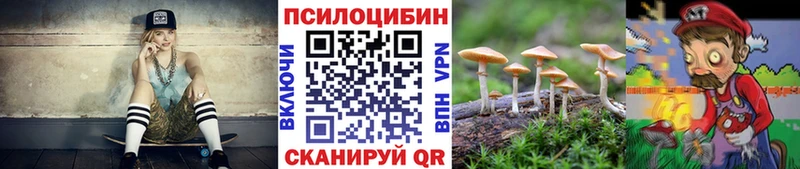 наркота  Тара  Псилоцибиновые грибы MAGIC MUSHROOMS 