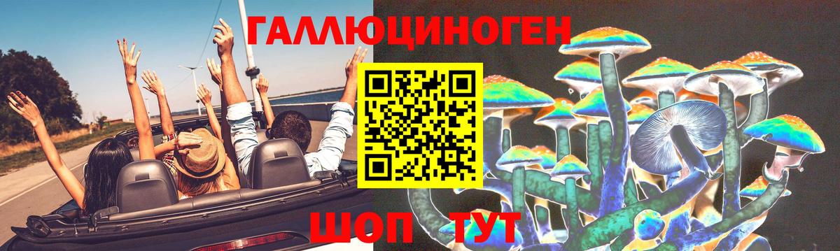 Галлюциногенные грибы Magic Shrooms  Вход с VPN  Псилоцибиновые грибы Psilocybe  Тара 