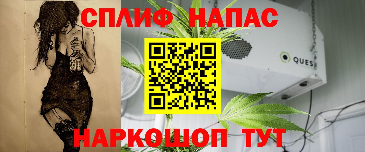 Тара  Каннабис планчик  Канабис OG Kush  Марихуана план  Марихуана White Widow  Вход с VPN 